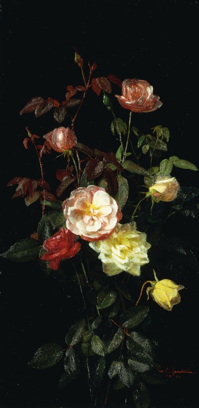 Róże, 1878 autorstwa George Cochran Lambdin