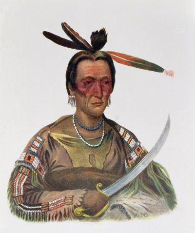 To-Ka-Cou, wódz Yankton Sioux, 1837, ilustracja z „Indiańskich plemion Ameryki Północnej, tom 1”, Thomasa L. McKenneya i Jamesa Halla, wyd. przez Johna Granta autorstwa George Cooke
