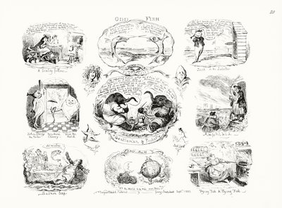 Dziwna ryba (grawerowanie) autorstwa George Cruikshank