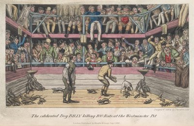 Zabijanie szczurów, „Życie w Londynie itd.”, Pierce Egan autorstwa George Cruikshank