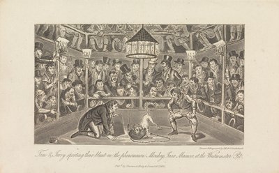 Tom i Jerry ze swoim bluntem... autorstwa George Cruikshank
