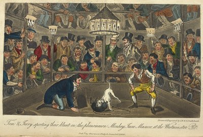 „Tom i Jerry wypowiadają się na temat fenomenu Monkey, Jacco, Maccaco w pit Westminster”. Walka psów, „Życie w Londynie itd.”, Pierce Egan autorstwa George Cruikshank