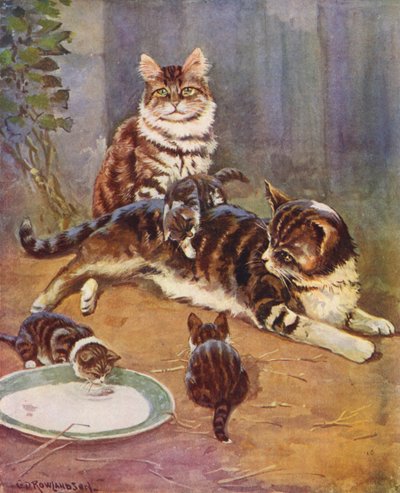 Nell była pięknym pręgusem (kolor lito) autorstwa George Derville (after) Rowlandson