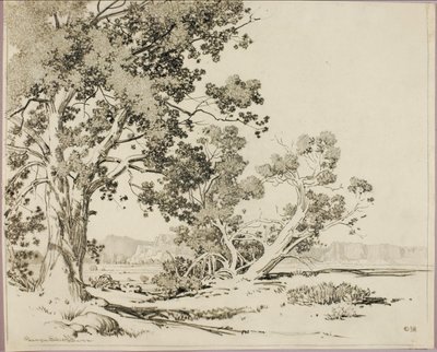 (Bez tytułu) autorstwa George Elbert Burr