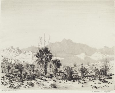 Miraż, Arizona autorstwa George Elbert Burr