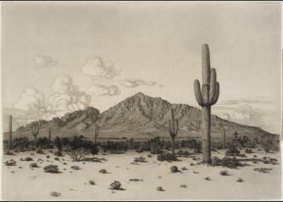Góra Camelback, Phoenix autorstwa George Elbert Burr