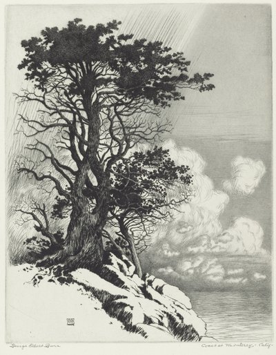 Wybrzeże w Monterey w Kalifornii autorstwa George Elbert Burr