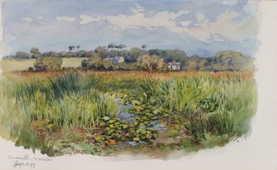Criccieth, N Walia autorstwa George Elbert Burr