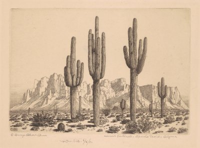Desert Sentinels, Apache Trail, Arizona autorstwa George Elbert Burr