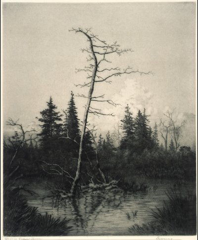 Wieczór autorstwa George Elbert Burr