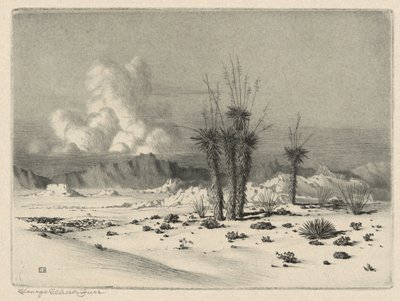 Wieczór, Arizona autorstwa George Elbert Burr