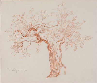 Fiesole autorstwa George Elbert Burr
