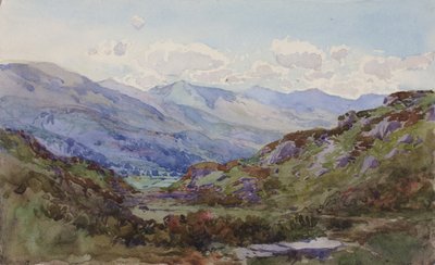 Z góry Pont-y-Pant, 1899. autorstwa George Elbert Burr