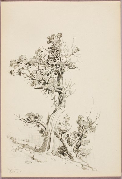 Manitou autorstwa George Elbert Burr