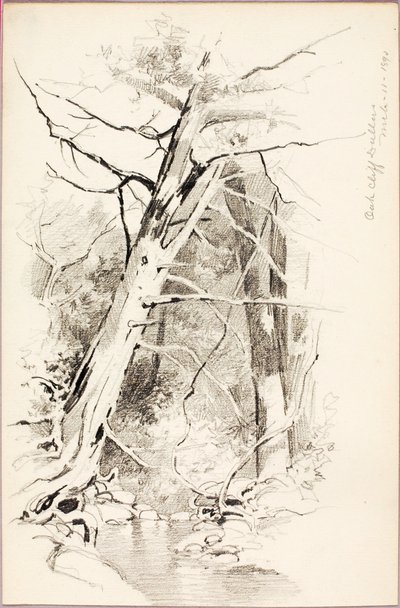Oak Cliff, Dallas autorstwa George Elbert Burr