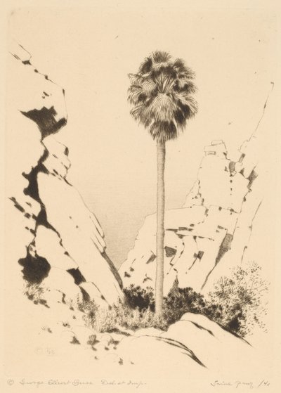 Kanion Palmowy (nr 1) autorstwa George Elbert Burr