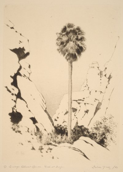  autorstwa George Elbert Burr
