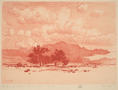 Drzewa palo verde autorstwa George Elbert Burr