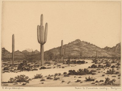 Droga do Paradise Valley, Arizona autorstwa George Elbert Burr