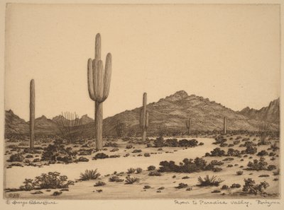 Droga do Paradise Valley w Arizonie autorstwa George Elbert Burr