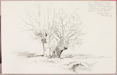Roche Vaud autorstwa George Elbert Burr