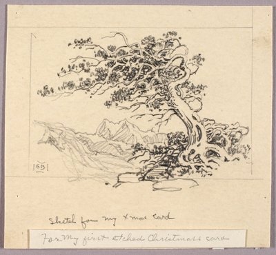 Szkic do kartki świątecznej (Windswept Pine [nr 1]) autorstwa George Elbert Burr