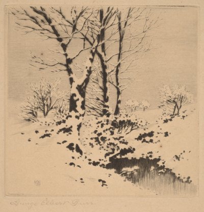 Śnieg autorstwa George Elbert Burr