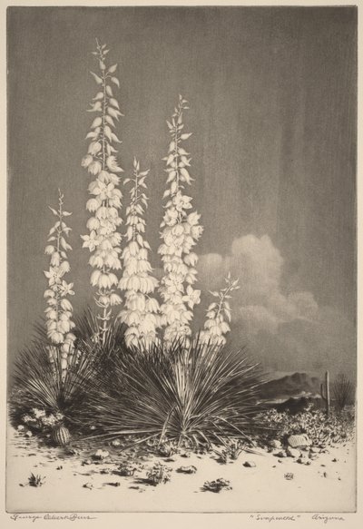  autorstwa George Elbert Burr