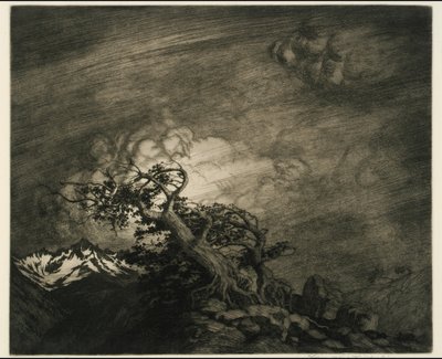 Burza w pobliżu Timberline autorstwa George Elbert Burr