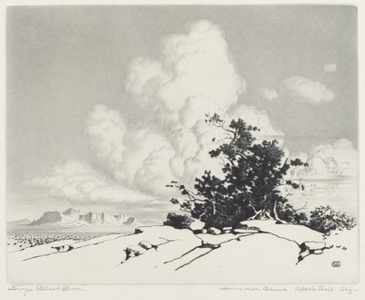 Letnia Chmura, Szlak Apaczów, Arizona autorstwa George Elbert Burr