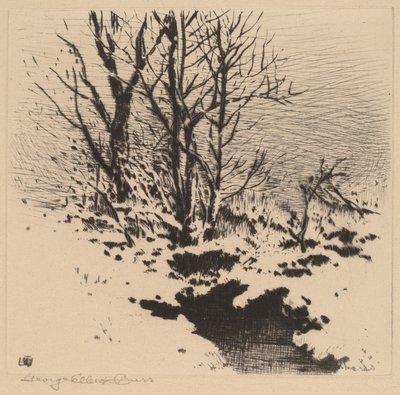 Pierwszy śnieg (nr 2) autorstwa George Elbert Burr