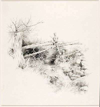 Bez tytułu (Woodland Stream) autorstwa George Elbert Burr