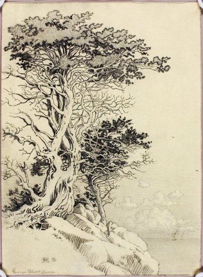 Bez tytułu (rysunek do druku) autorstwa George Elbert Burr