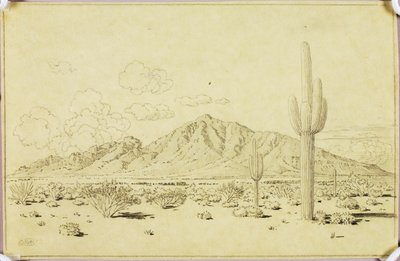 Bez tytułu (rysunek przeniesieniowy do Camelback Mountain, Phoenix) autorstwa George Elbert Burr