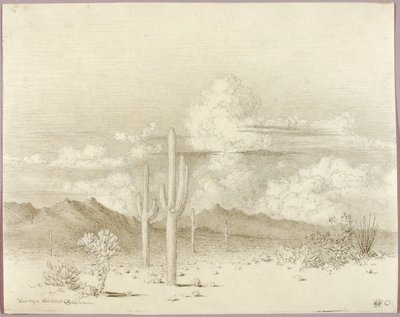 Bez tytułu (rysunek przeniesieniowy do obrazu Wieczór, Paradise Valley, Arizona) autorstwa George Elbert Burr