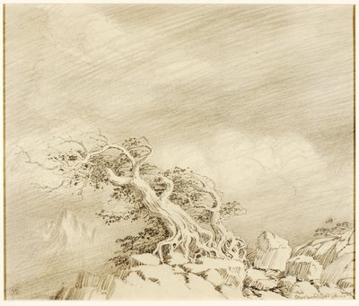 Bez tytułu (rysunek transferowy dla Storm near Timberline) autorstwa George Elbert Burr
