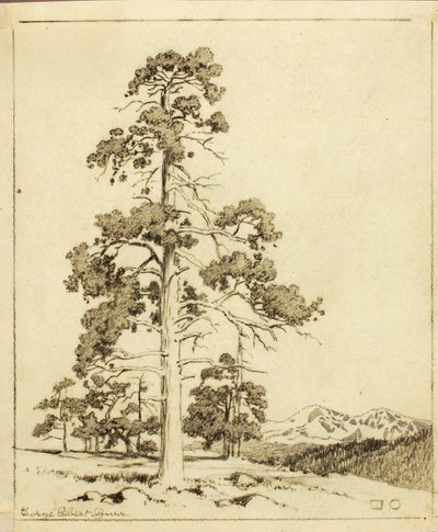 Bez tytułu (rysunek transferowy do druku) autorstwa George Elbert Burr