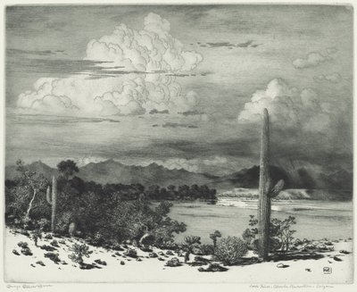 Verde River, rezerwat Apache, Arizona autorstwa George Elbert Burr