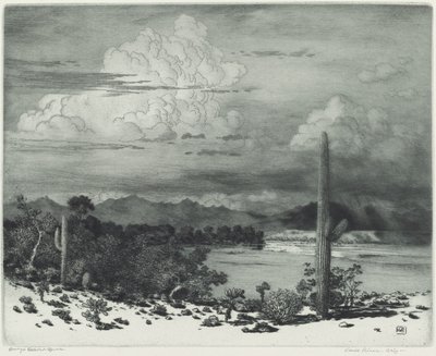 Rzeka Verde, Arizona autorstwa George Elbert Burr