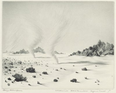 Trąba powietrzna, Martwe Góry, Pustynia Mojave, Kalifornia autorstwa George Elbert Burr