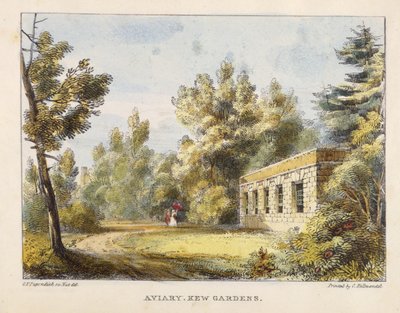 Woliera, Kew Gardens, tablica 10 z Kew Gardens: A Series of Twenty-Four Drawings on Stone, grawerowane przez Charlesa Hullmandela (1789-1850) wydane w 1820 r. (litografia ręcznie kolorowana) autorstwa George Ernest after Papendiek