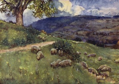 Pastwisko dla owiec Cotswold autorstwa George Franck Nicholls