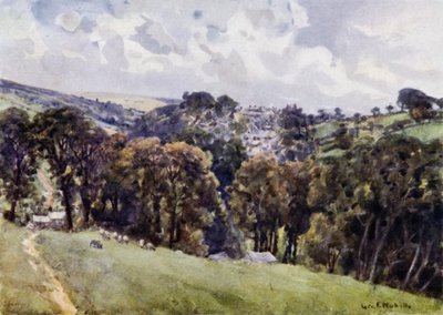 Camelford (kolor lito) autorstwa George Franck Nicholls