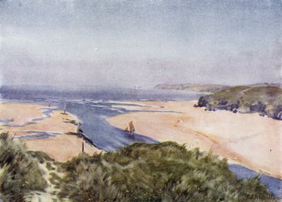 Od Lelanta do Godrevy (członkowie kolorowi) autorstwa George Franck Nicholls