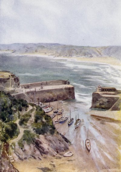 Newquay (kolor lito) autorstwa George Franck Nicholls