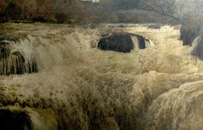 Łosoś Leap, Cenarth Falls, Cardiganshire, Walia, 1878 autorstwa George Frank Miles