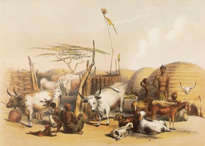 Zuluski kraal nad rzeką Umgaki w Natalu autorstwa George French Angas