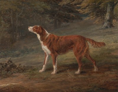 Ranger, seter, własność Elizabeth Grey autorstwa George Garrard