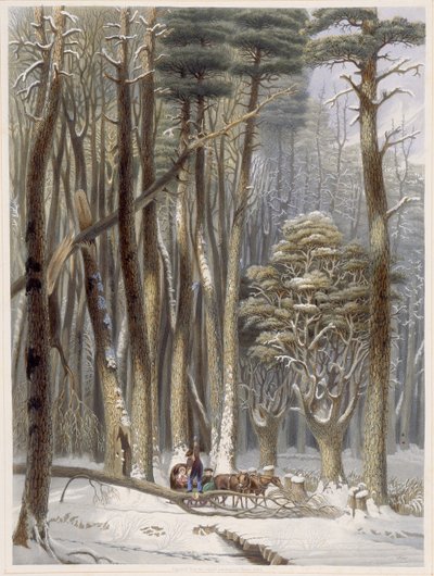 Zima, utrudnieni podróżnicy w sosnowym lesie, z Harveys Scenes of the Primitive Forest of America, 1841 (akwatinta ręcznie kolorowana) autorstwa George Harvey