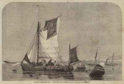 Brytyjskie rybołówstwo, nr 7, kłusem dla Trąbków autorstwa George Henry Andrews